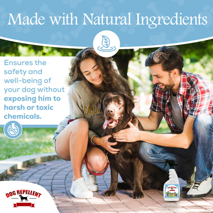 DOG REPELLENT, Potty Training and Stop Chewing Spray, 24 oz